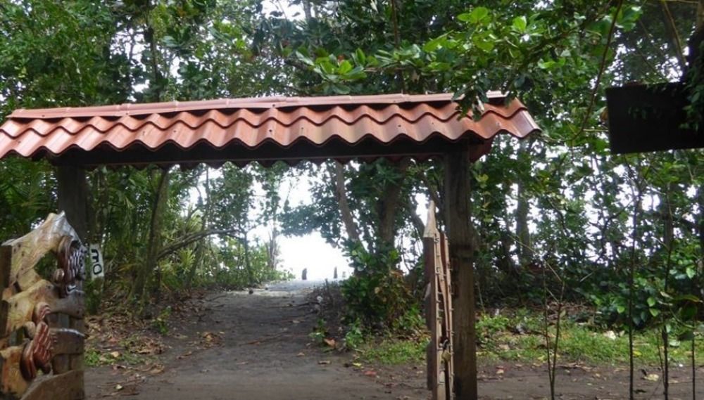 Miss Junies Lodge Tortuguero Exterior photo